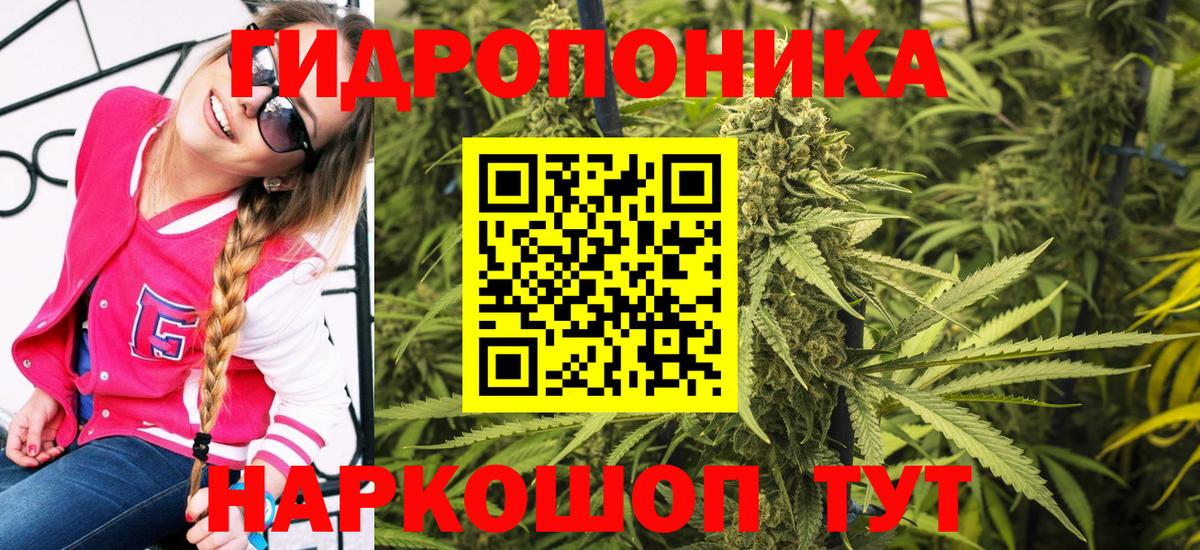 МАРИХУАНА THC 21% Кинель